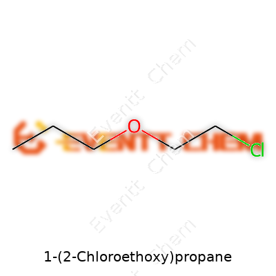 1-(2-Chloroethoxy)propane